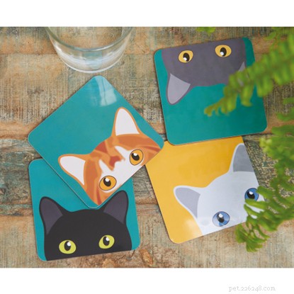 Top Christmas Gifts for You and Your Cat – 2024 Guide