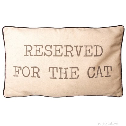 Top Christmas Gifts for You and Your Cat – 2024 Guide