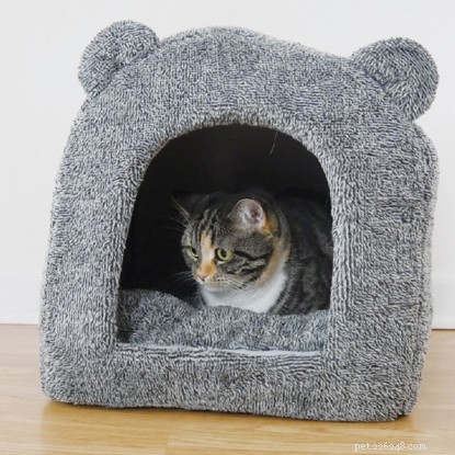Top Christmas Gifts for You and Your Cat – 2024 Guide