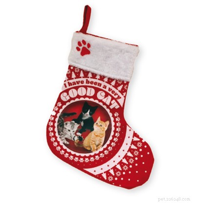 Top Christmas Gifts for You and Your Cat – 2024 Guide