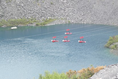 Free Registration for Fundraising Zipwire Challenge – Raise Money for Cats