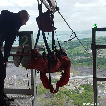 Free Registration for Fundraising Zipwire Challenge – Raise Money for Cats