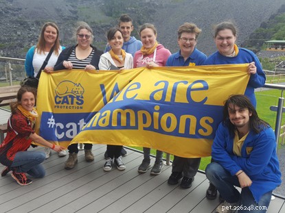 Free Registration for Fundraising Zipwire Challenge – Raise Money for Cats