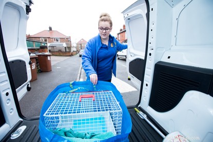New Year, New You: Volunteer with Cats Protection to Help Cats & Grow Your Skills
