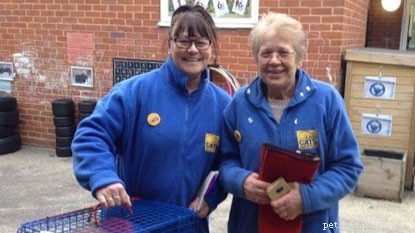 Romford School Kids Rescue Stray Cat, Earn Praise from Cats Protection