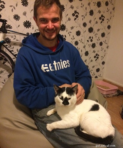 How Volunteering as Cat Fosterers Fulfilled a Couple’s Dream of Pet Ownership