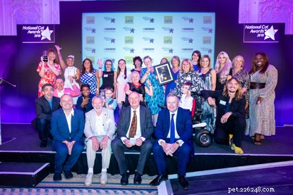 Nominate Your Cat for the 2019 National Cat Awards – Entries Close March 8