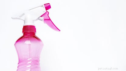 Discover the Safest Cleaning Products for a Cat-Friendly Home
