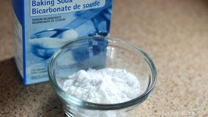 Discover the Safest Cleaning Products for a Cat-Friendly Home