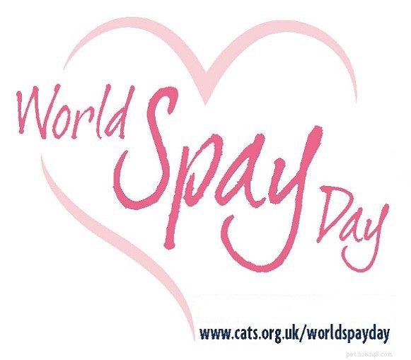 Celebrating World Spay Day: Partnering with Animal Welfare Charities to Promote Cat Neutering Benefits