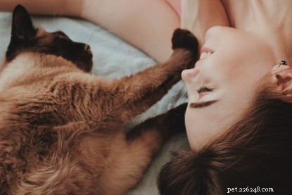 Cats, Meet Your New Role: Caring for Your Human – Advice from the UK s Leading Feline Charity
