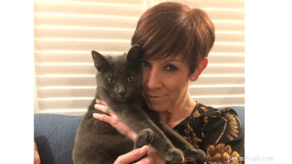Avoid Lilies for Your Cat-Loving Mom This Mother s Day – Safe Alternatives Explained