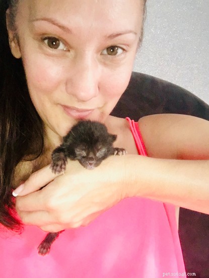 Frankie Seaman’s Fostering Success: Helping a Kitten Find Its Forever Home
