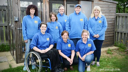 The Deeside Branch: A Small, Dedicated Team Transforming Cat Care