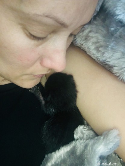 Frankie Seaman’s Fostering Success: Helping a Kitten Find Its Forever Home