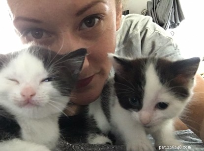Frankie Seaman’s Fostering Success: Helping a Kitten Find Its Forever Home