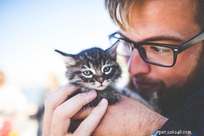 Why Cats Are the Ultimate Companion for Men