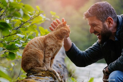 Why Cats Are the Ultimate Companion for Men