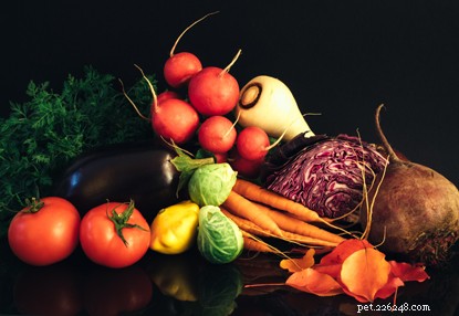 Can Cats Thrive on a Vegetarian or Vegan Diet?