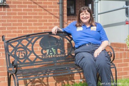 From Mortgage Adviser to Cats Protection: How Adopting Bella Changed Tracie Atkin’s Life