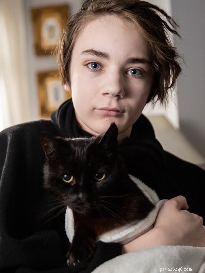 Discover the Furr‑Ever Friends Finalists of the National Cat Awards 2019