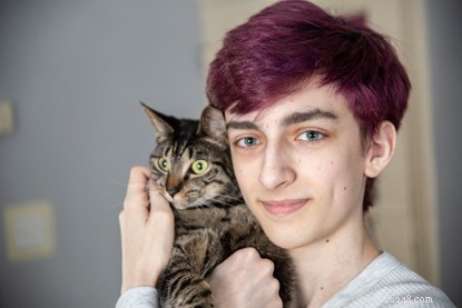 Discover the Furr‑Ever Friends Finalists of the National Cat Awards 2019