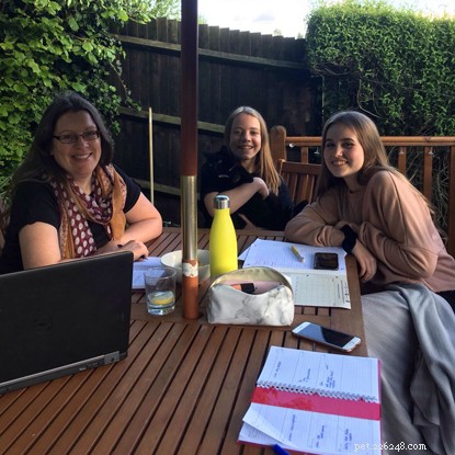 Meet the Dedicated Volunteers Driving Cats Protection s Success