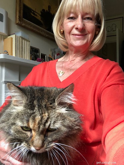 Meet the Dedicated Volunteers Driving Cats Protection s Success