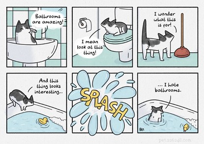 Winner’s Cat Story Comes to Life in a New Comic Strip