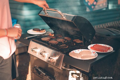 Protect Your Cats During Summer BBQs: Essential Safety Tips