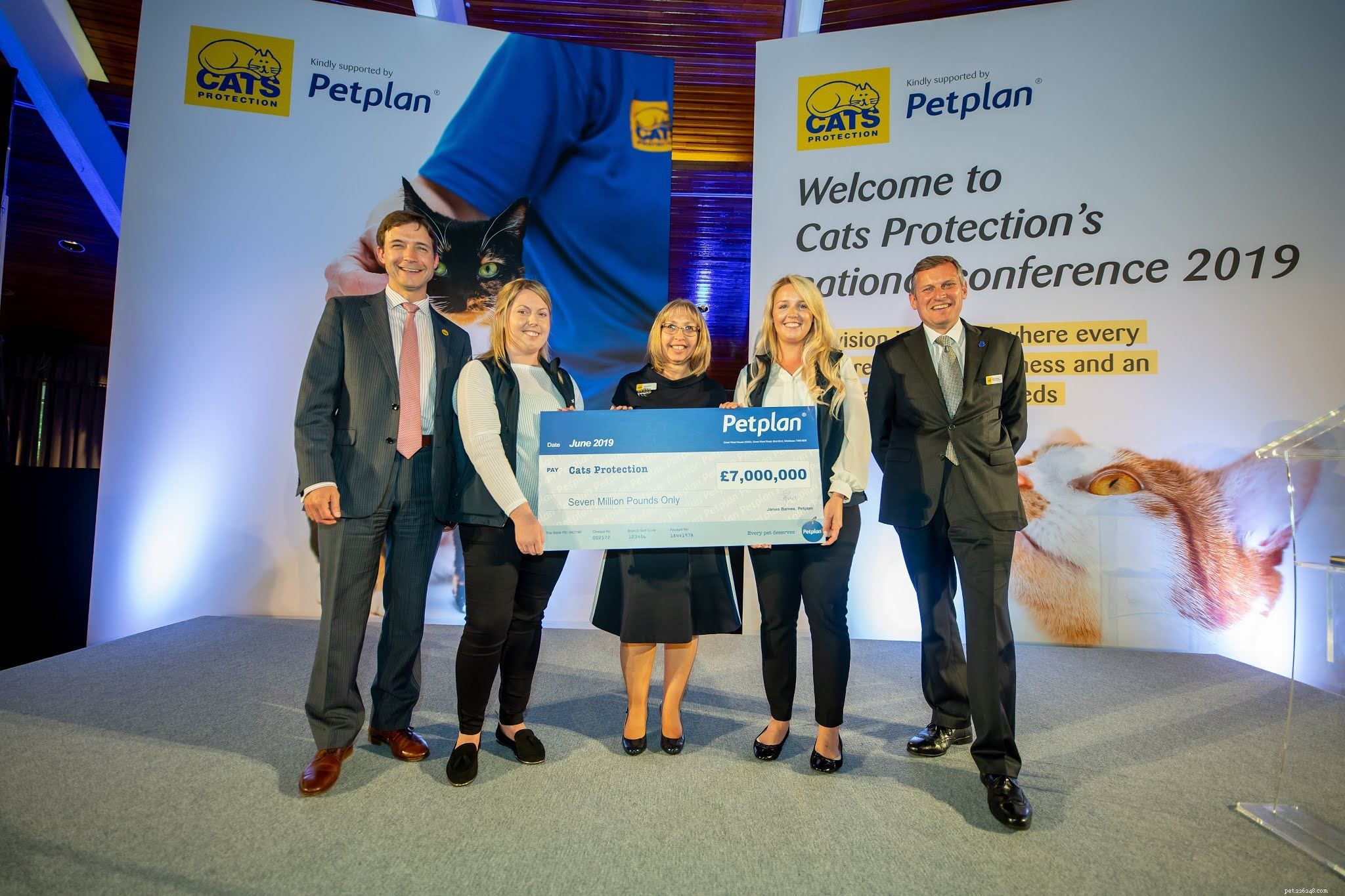 Petplan® Partnership Helps Raise £7M to Support Cats in Care
