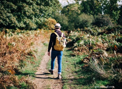Walk 9 Miles to Fund Cats: Join the Annual Nine-Mile Challenge