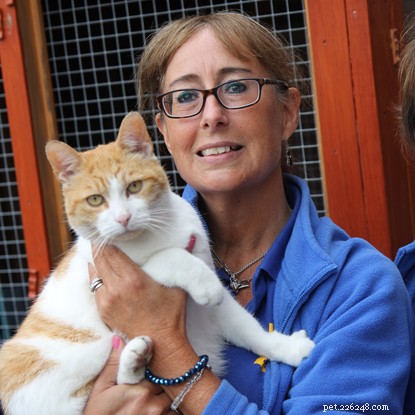 Meet the Dedicated Volunteers Enhancing Cat Welfare Across the UK