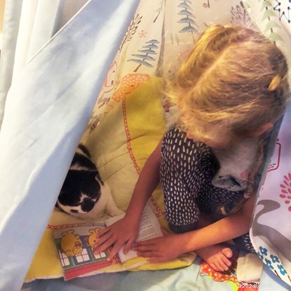 How Domino, the Rescue Cat, Became the Best Friend for Autistic Girl Marnie