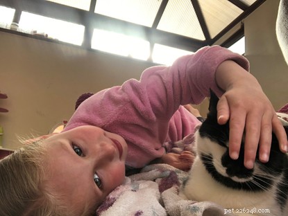 How Domino, the Rescue Cat, Became the Best Friend for Autistic Girl Marnie
