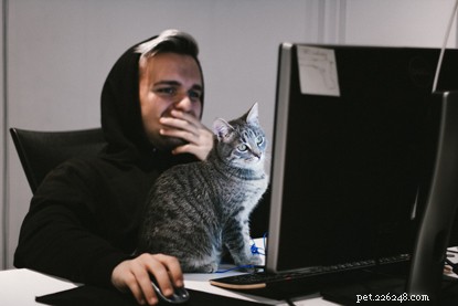 More Than a Pet: How Cats Enrich Our Lives and Bring Joy