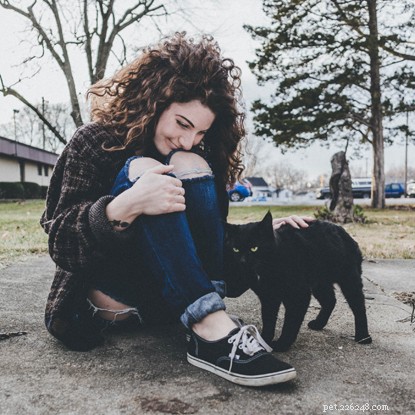 More Than a Pet: How Cats Enrich Our Lives and Bring Joy