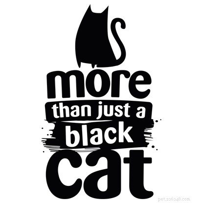 Celebrate National Black Cat Day 2021: Showcase Your Unique Black Cat