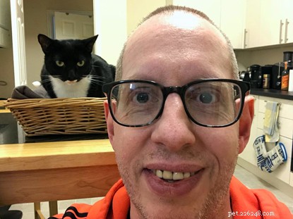 Beyond the Myths: How Cats Boost Mental Well‑Being