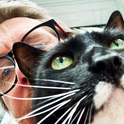 Beyond the Myths: How Cats Boost Mental Well‑Being