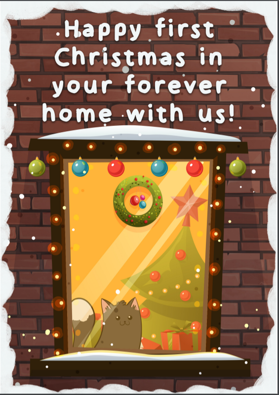 How to Keep Your Cat Safe and Happy This Christmas