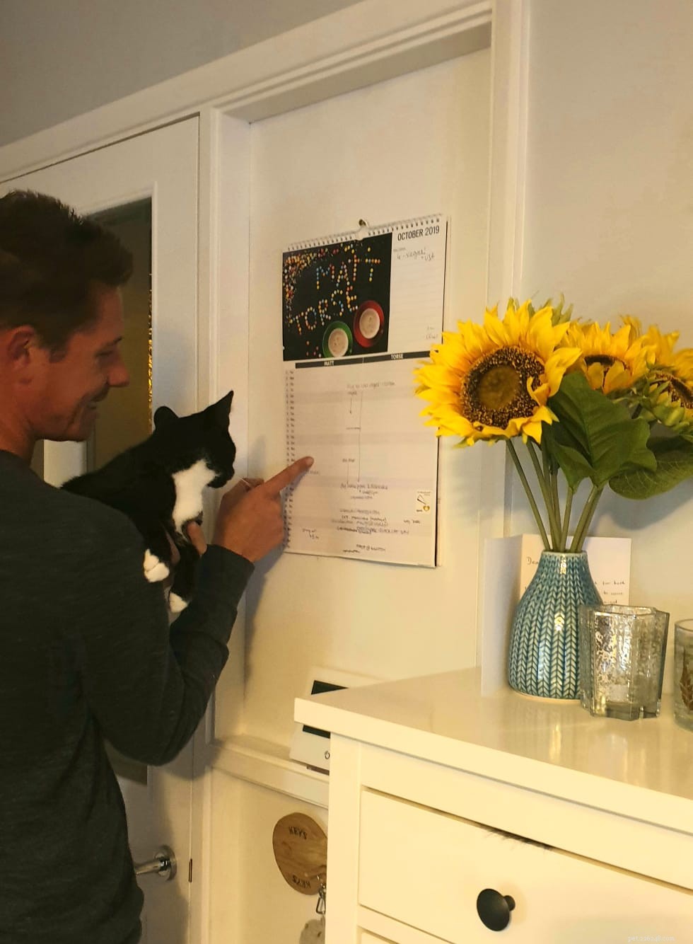 Cat Dad Spotlight: Heartwarming Acts of Love From Proud Cat Parents