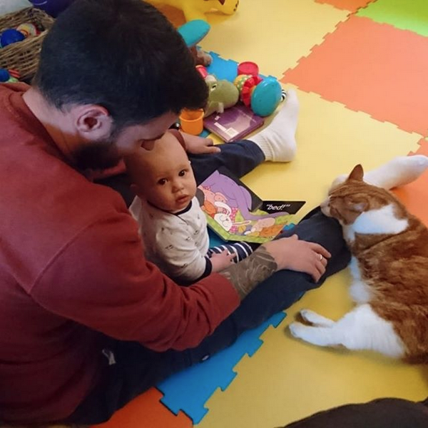 Cat Dad Spotlight: Heartwarming Acts of Love From Proud Cat Parents