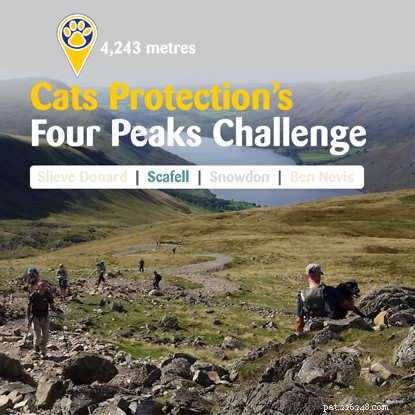 Take on the Four Peaks Challenge - Climb England s, Scotland s, Wales s, and Northern Ireland s Highest Summits