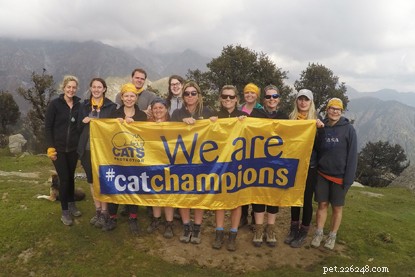 Monthly Fundraising Ideas to Support Cats Protection in 2024