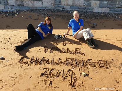 Monthly Fundraising Ideas to Support Cats Protection in 2024