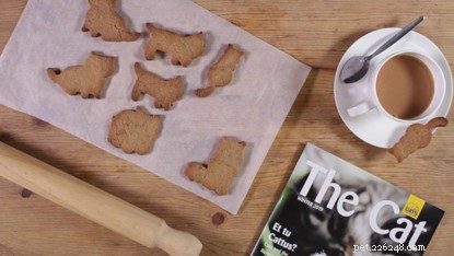 Delicious Gingerbread Cat Biscuits: A Festive Christmas Recipe