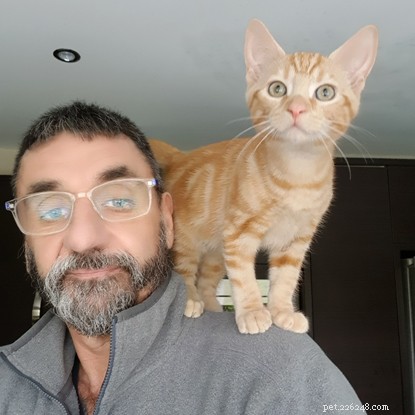 Ginger Kitten Star of People’s Postcode Lottery Ad Finds Forever Home