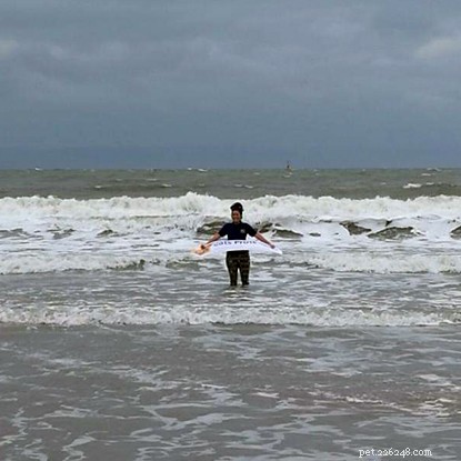 Christmas Day Sea Dip Raises Funds for Cats