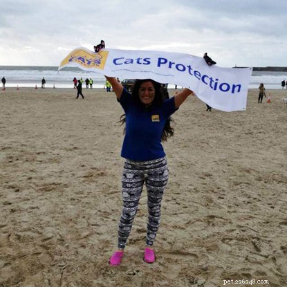 Christmas Day Sea Dip Raises Funds for Cats